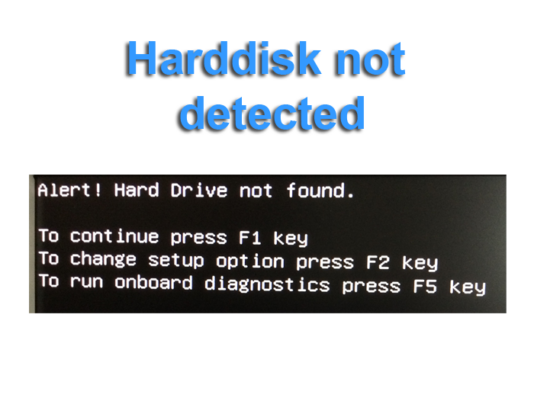 Hard disk not detected